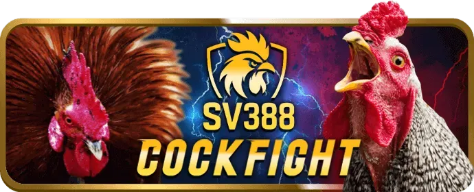 Cá cược thể thao Jun88v8
